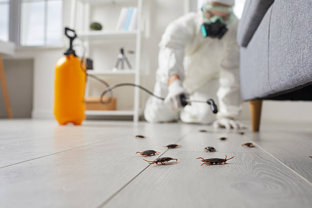 Commercial Kitchen Cockroach Control in Bartonville